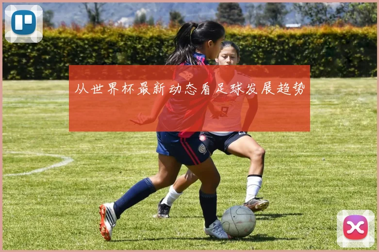从世界杯最新动态看足球发展趋势