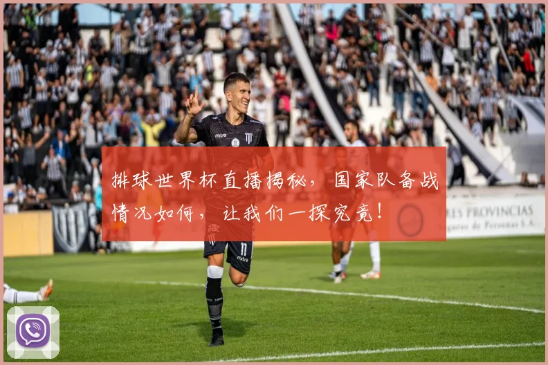 排球世界杯直播揭秘，国家队备战情况如何，让我们一探究竟！