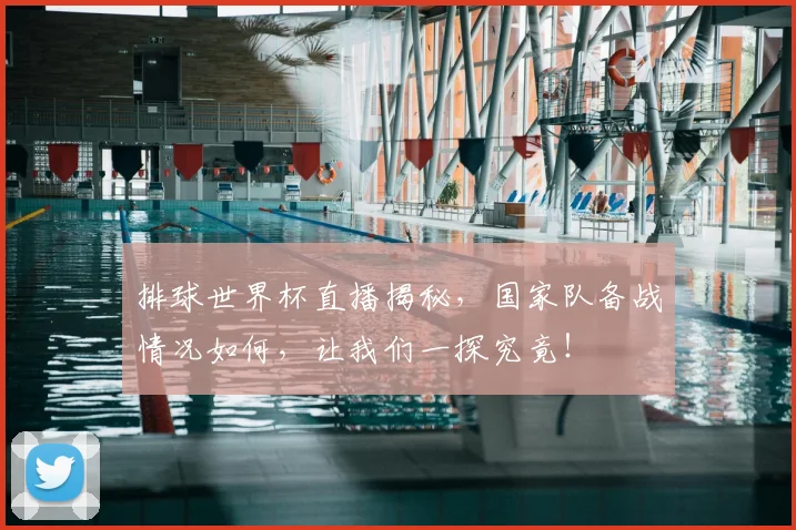 排球世界杯直播揭秘，国家队备战情况如何，让我们一探究竟！